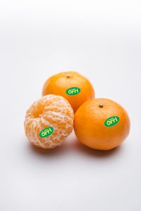 Orri Jaffa best mandarins are here